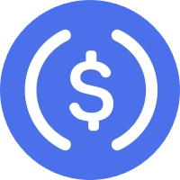 USDC Payment